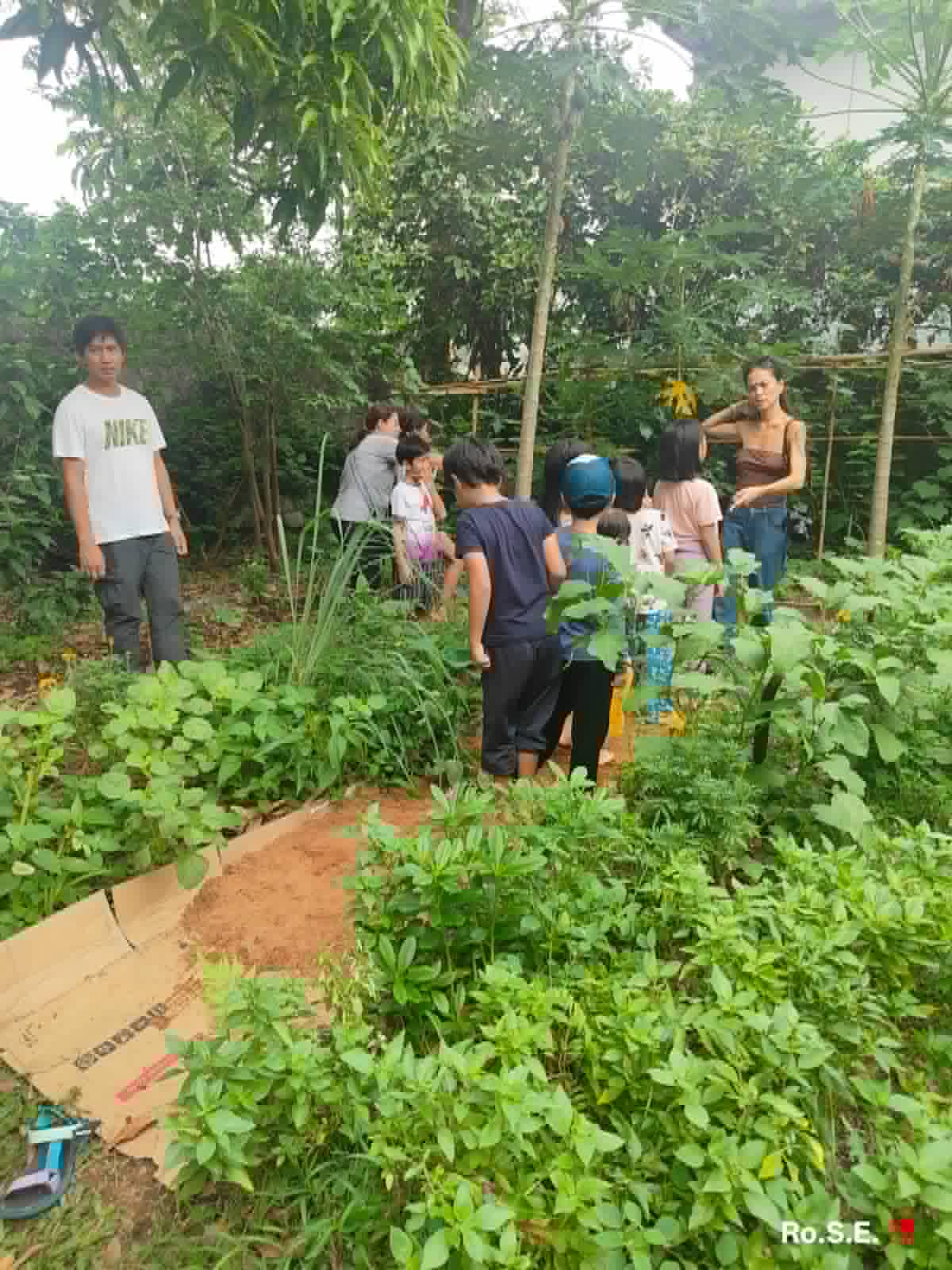 Children and parents examining plants up close