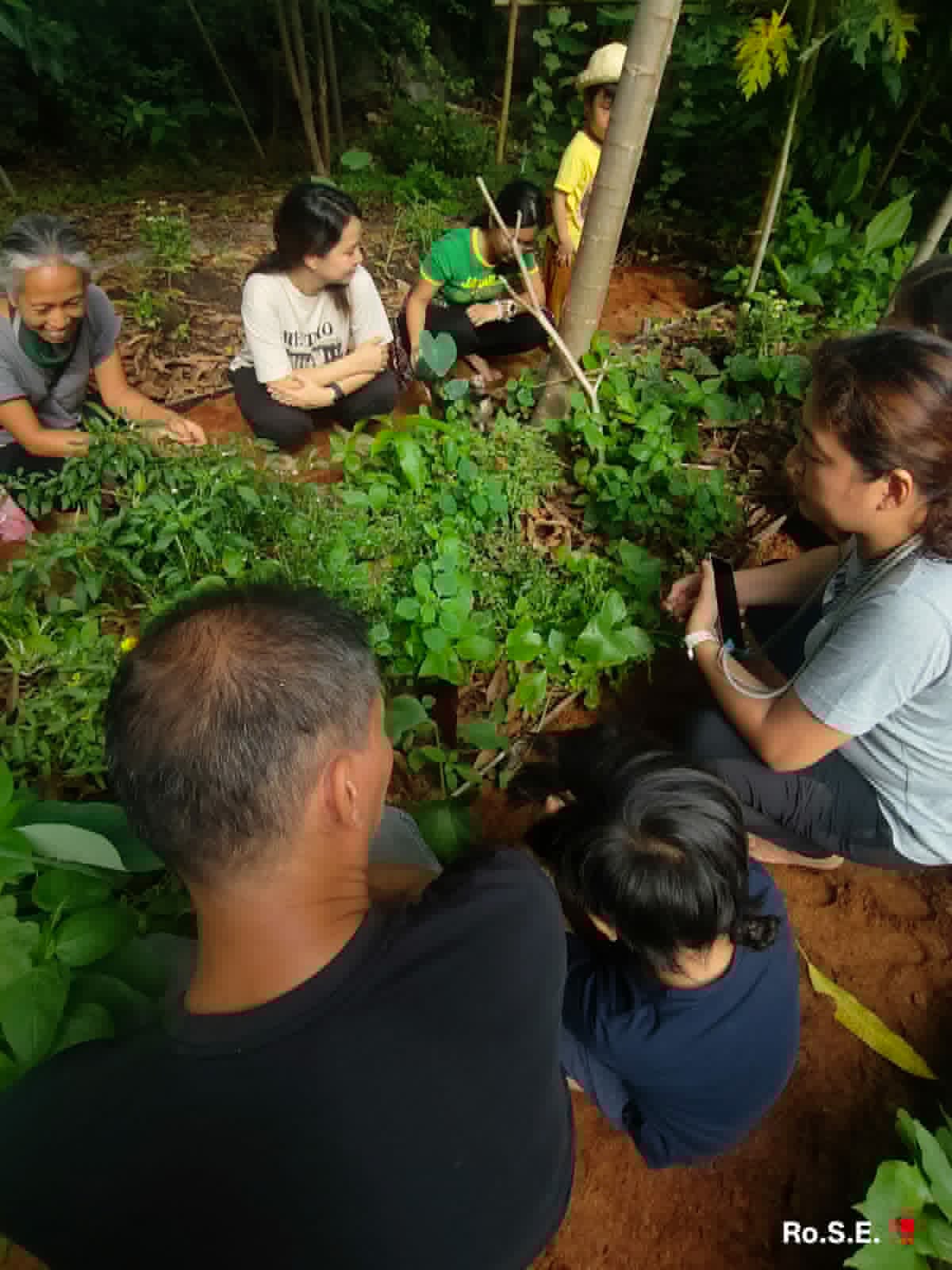 Families gathered around the hugelkultur bed