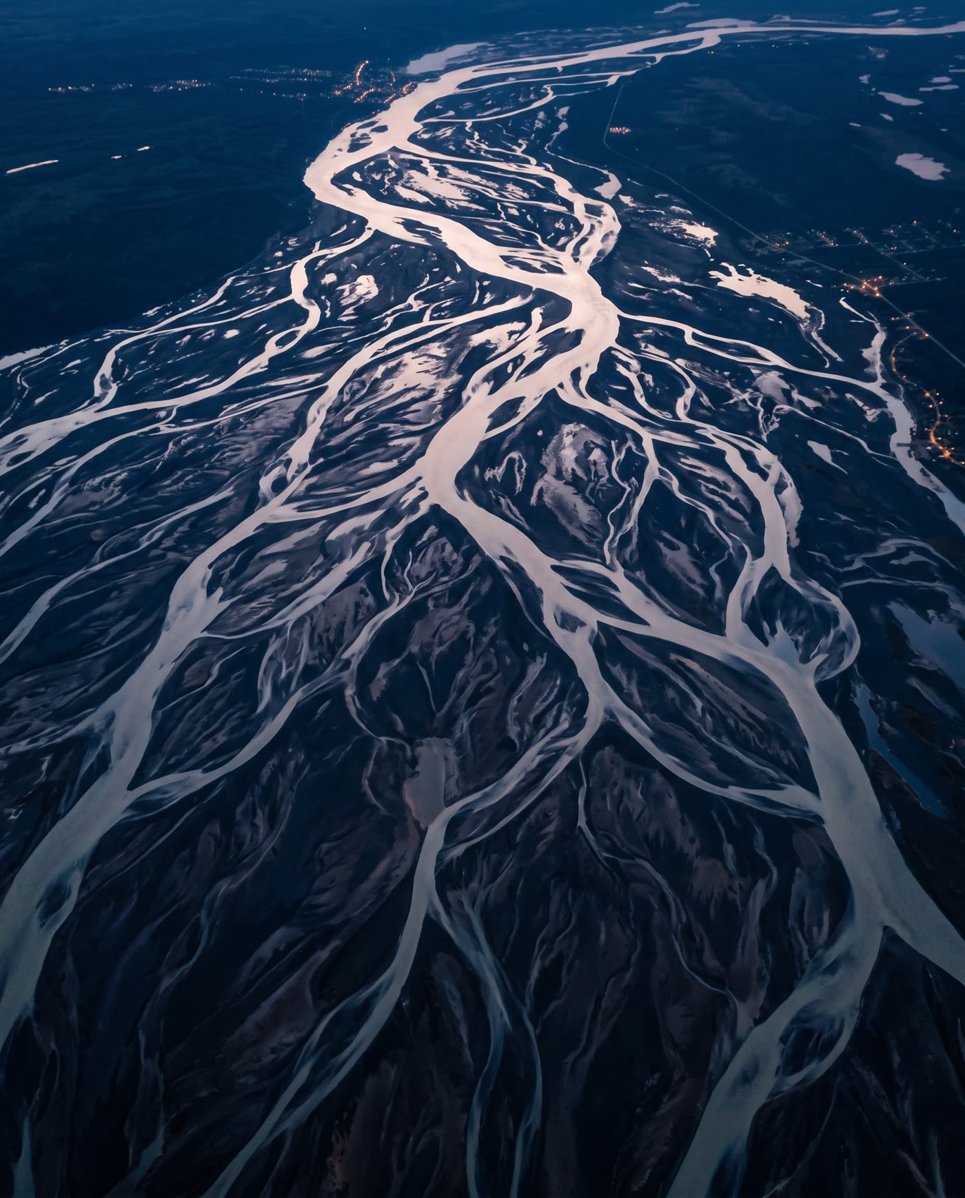 A river delta seen from above, its channels branching like a network