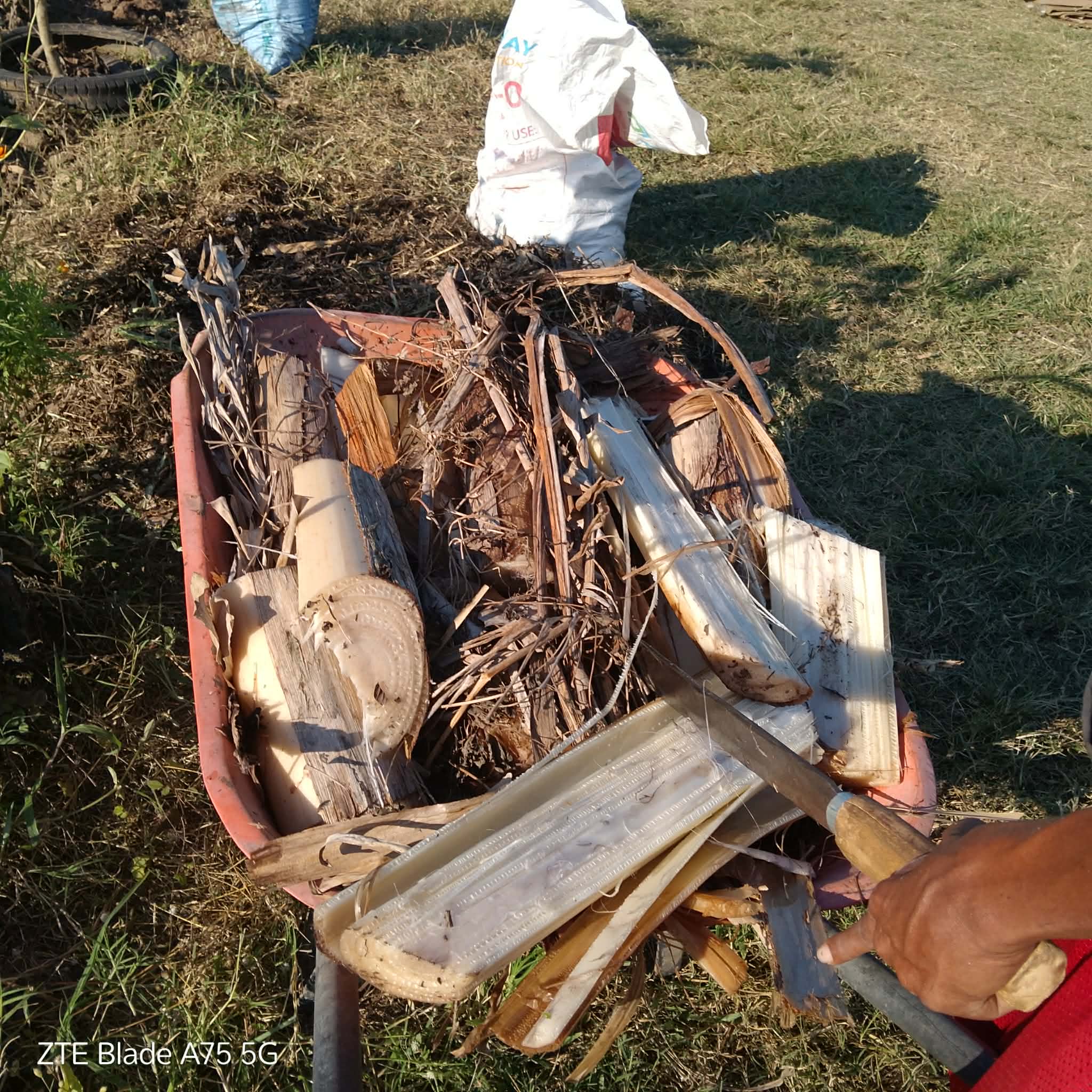 11 Amazing Mulch Materials for Permaculture Gardening