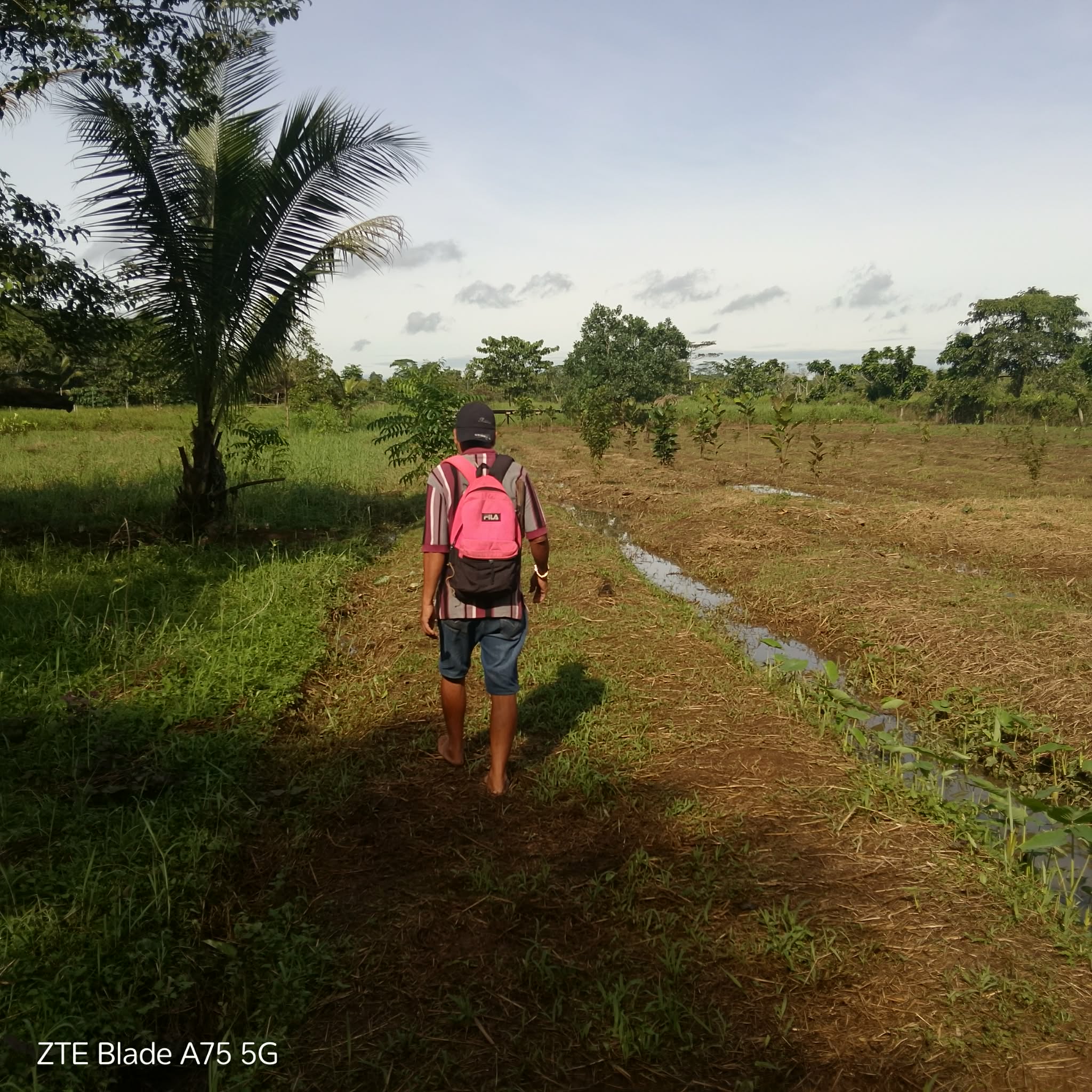 Reading the Landscape with Permaculture Design