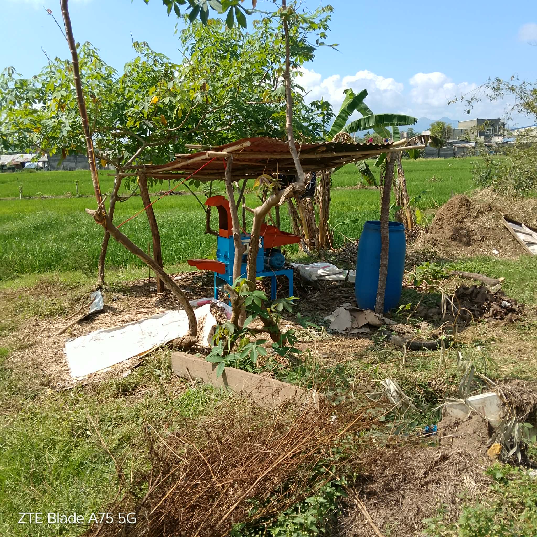A comprehensive guide to Permaculture Guilds