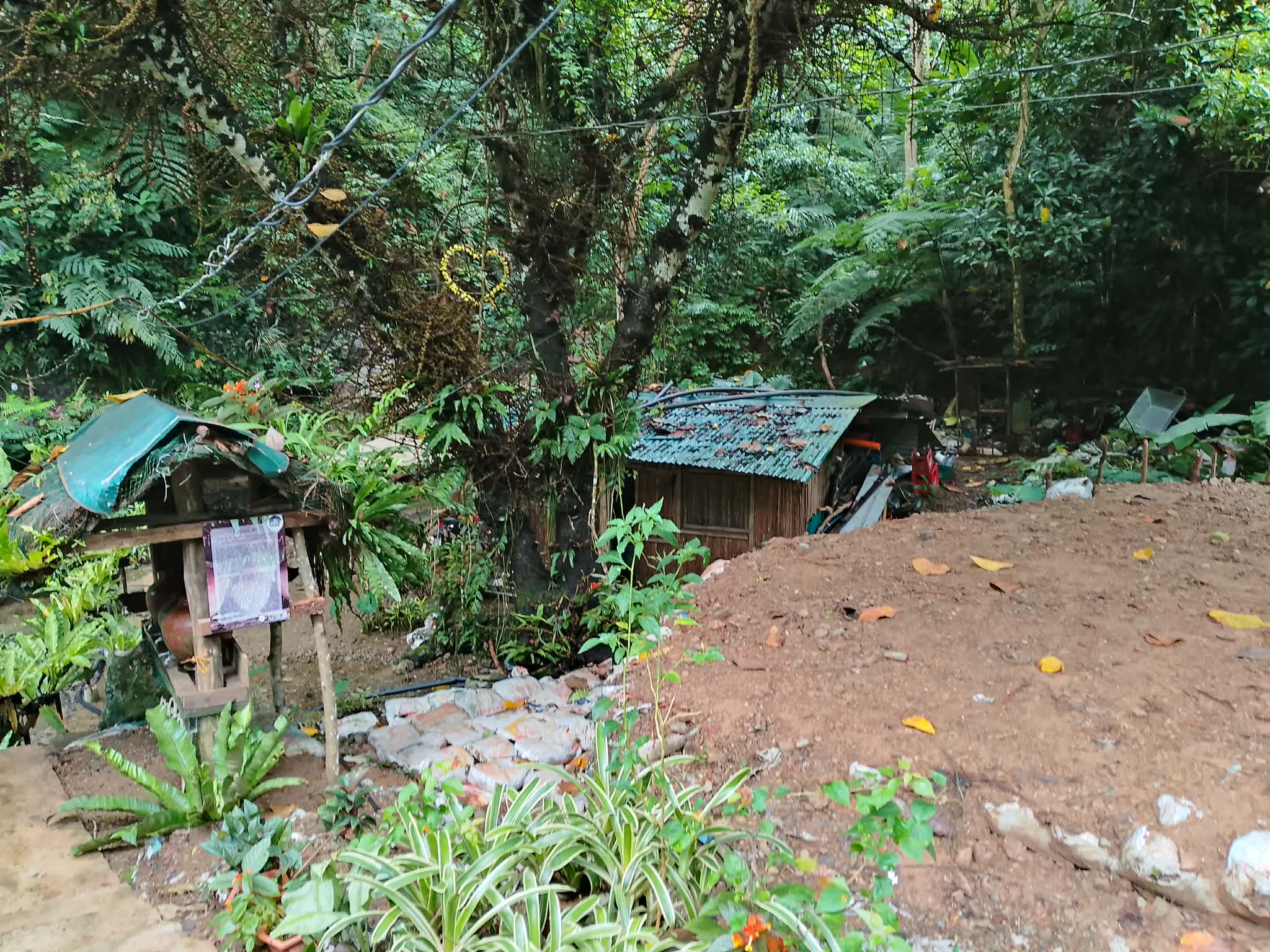 Got Some Land, Now What? 5 First Steps When Starting a Permaculture Garden or Farm