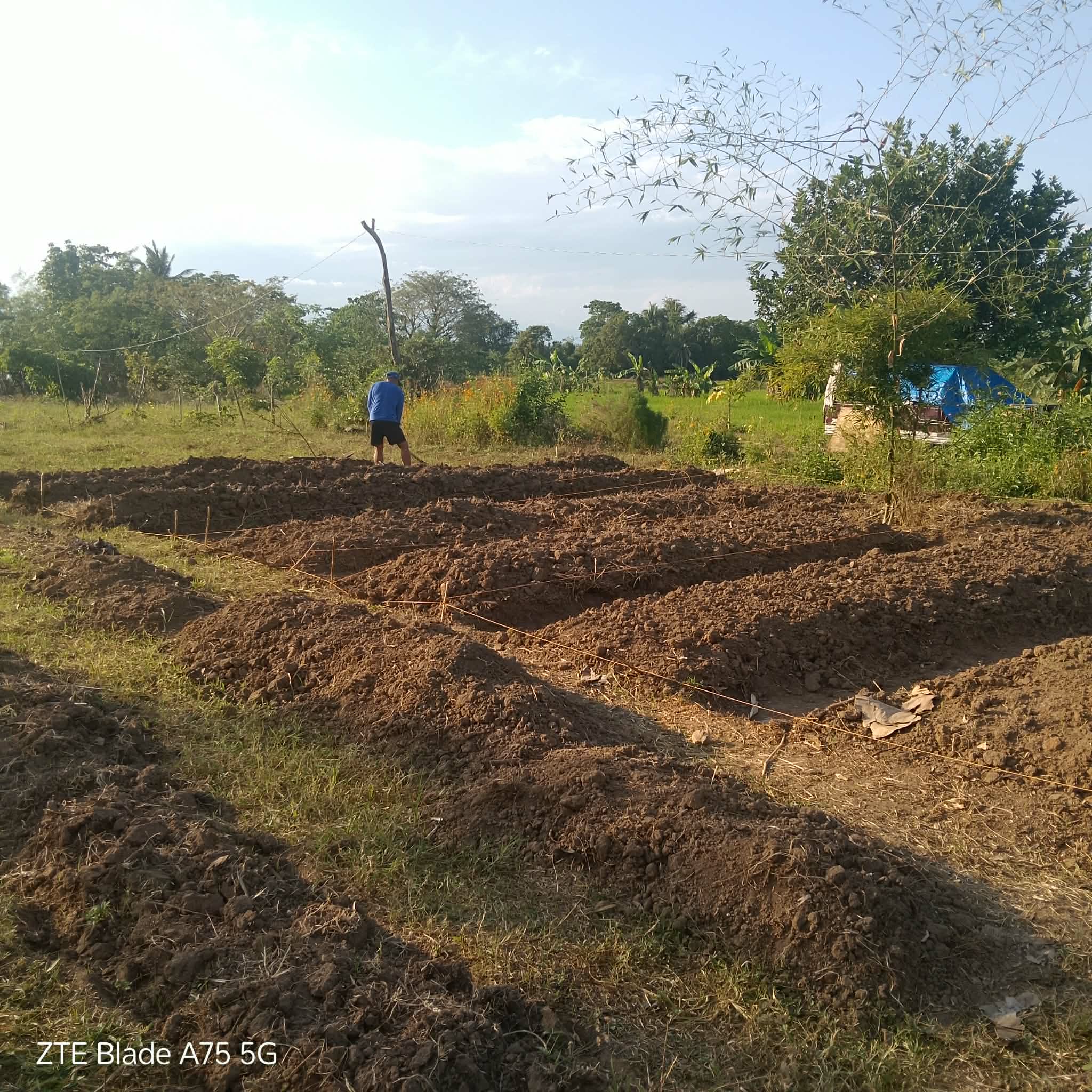 How to Grow Food Security | Discover Permaculture: The Podcast
