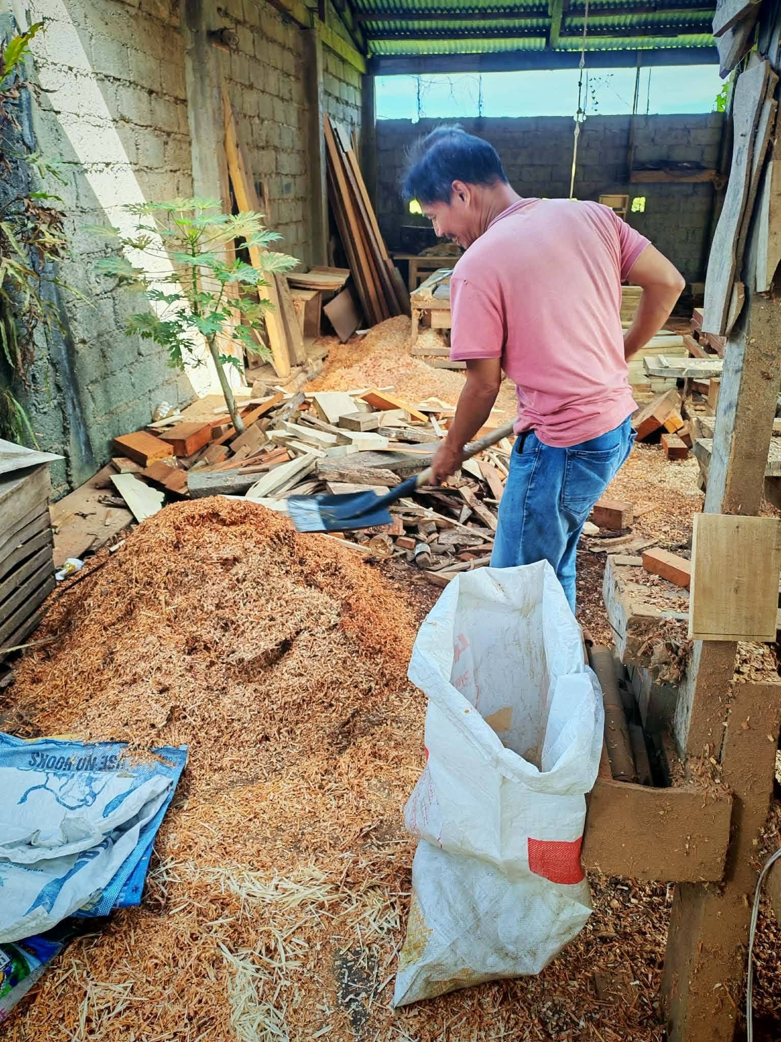 Is It Always Better to Layer Cardboard and Mulch before Planting?