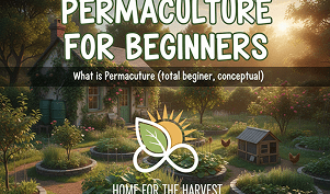 What is Permaculture? — Article