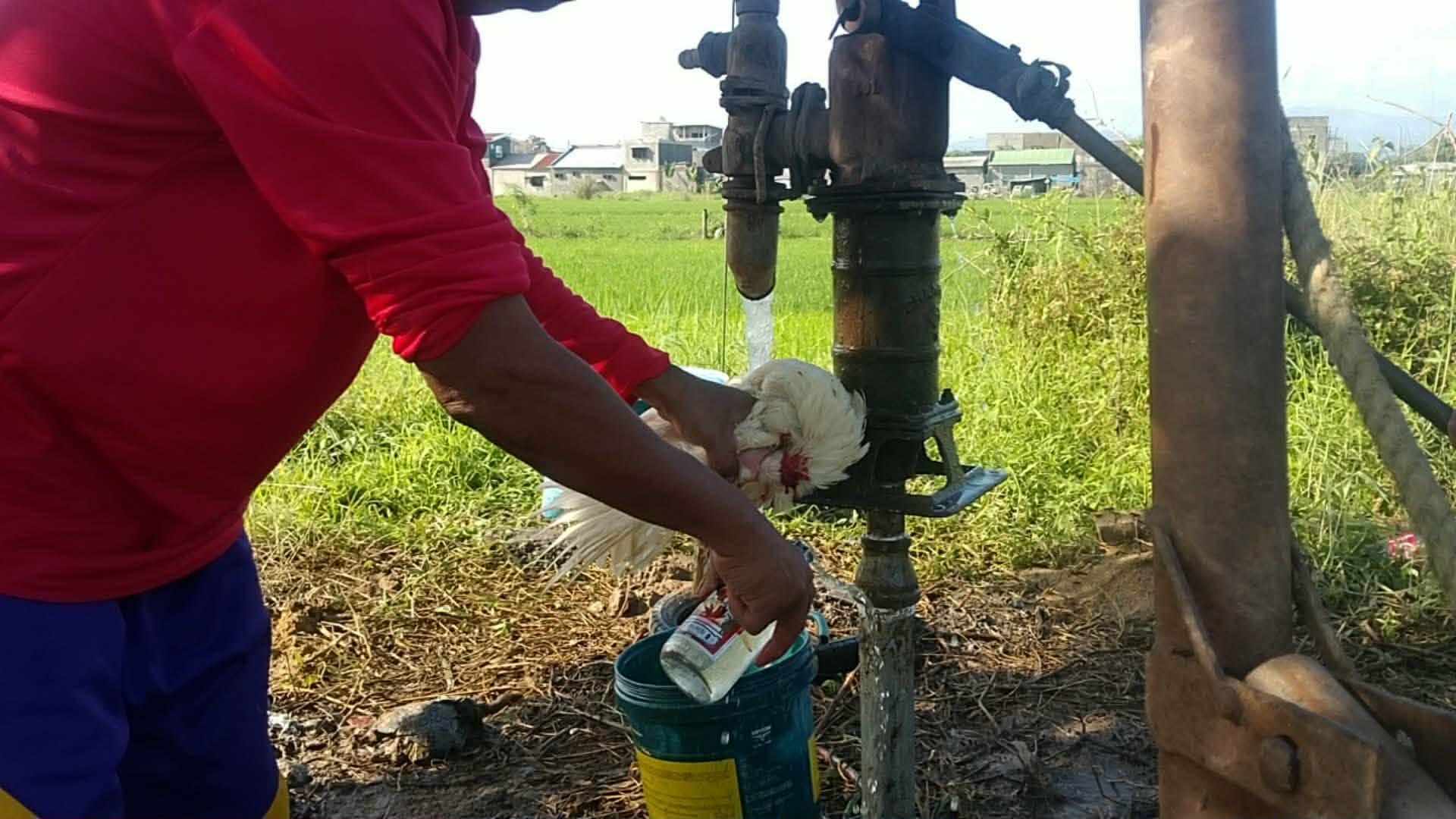 Water — The Lifeblood of the Landscape | Discover Permaculture: The Podcast