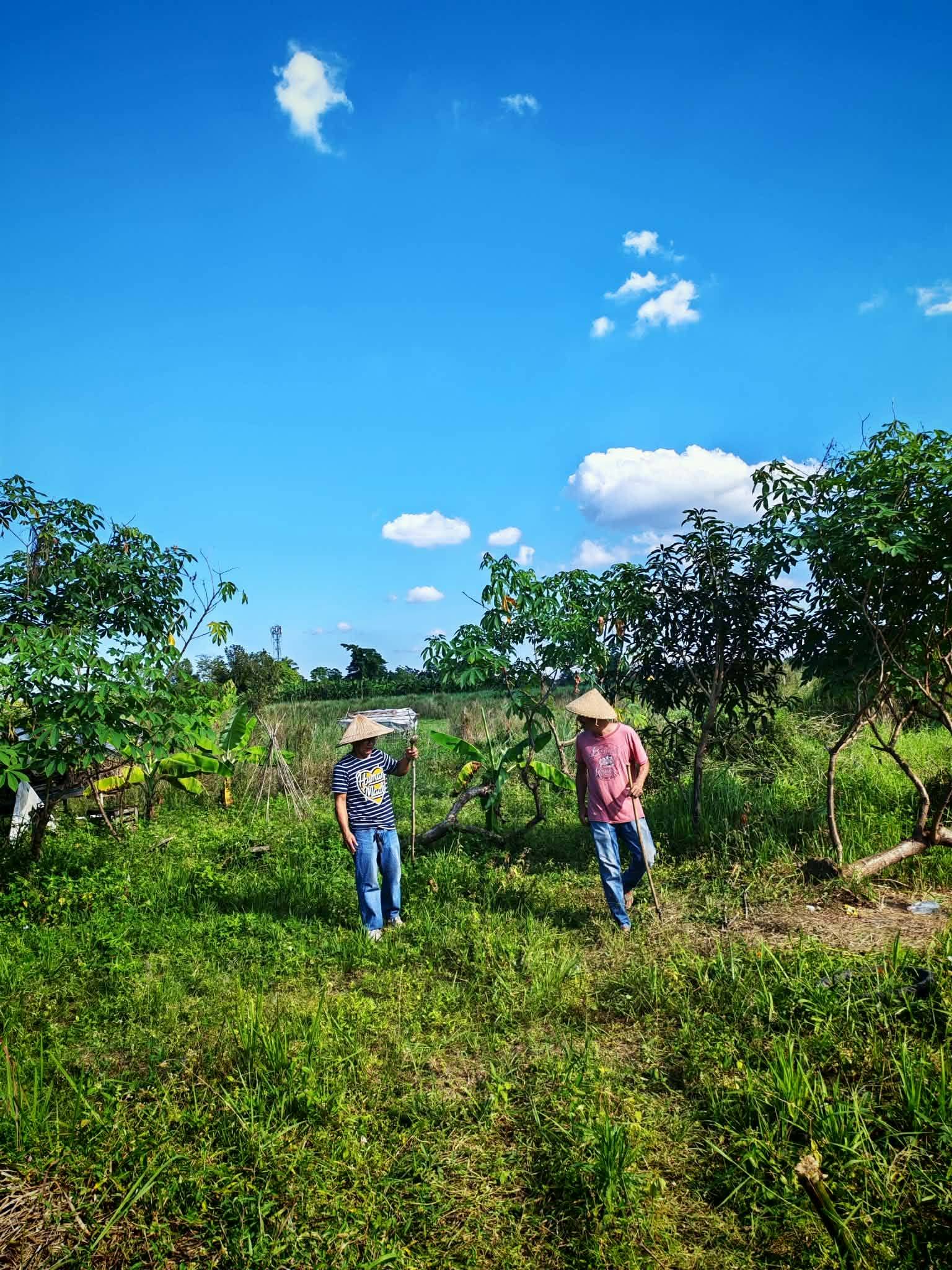 The Forested Garden: What is a Food Forest?