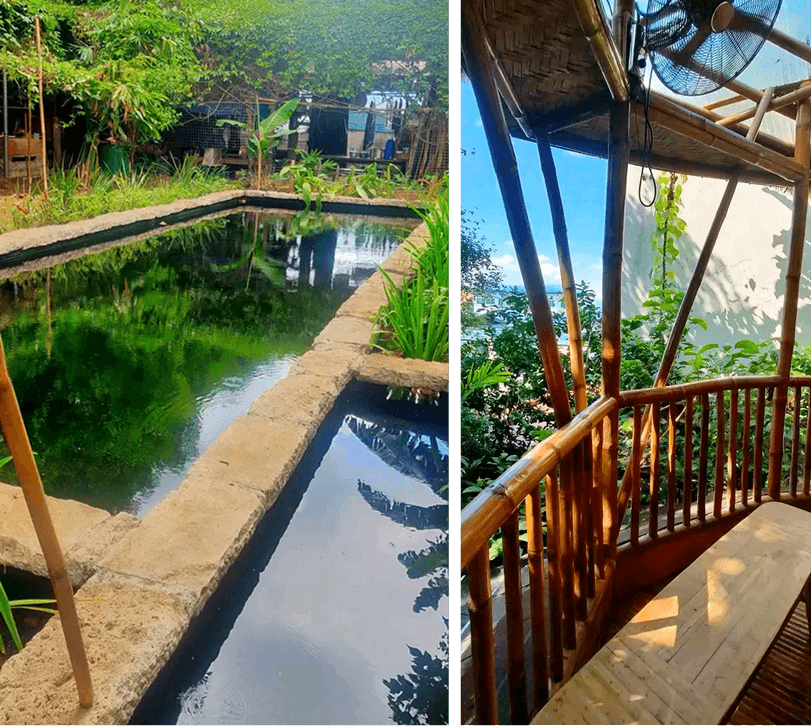 Permaculture landscape