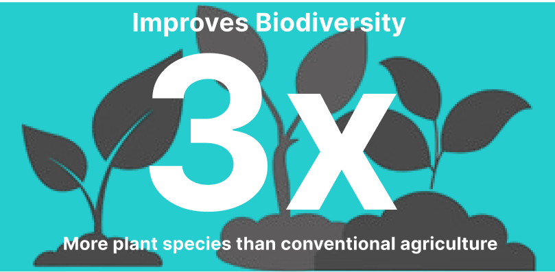 Improves biodiversity 3x