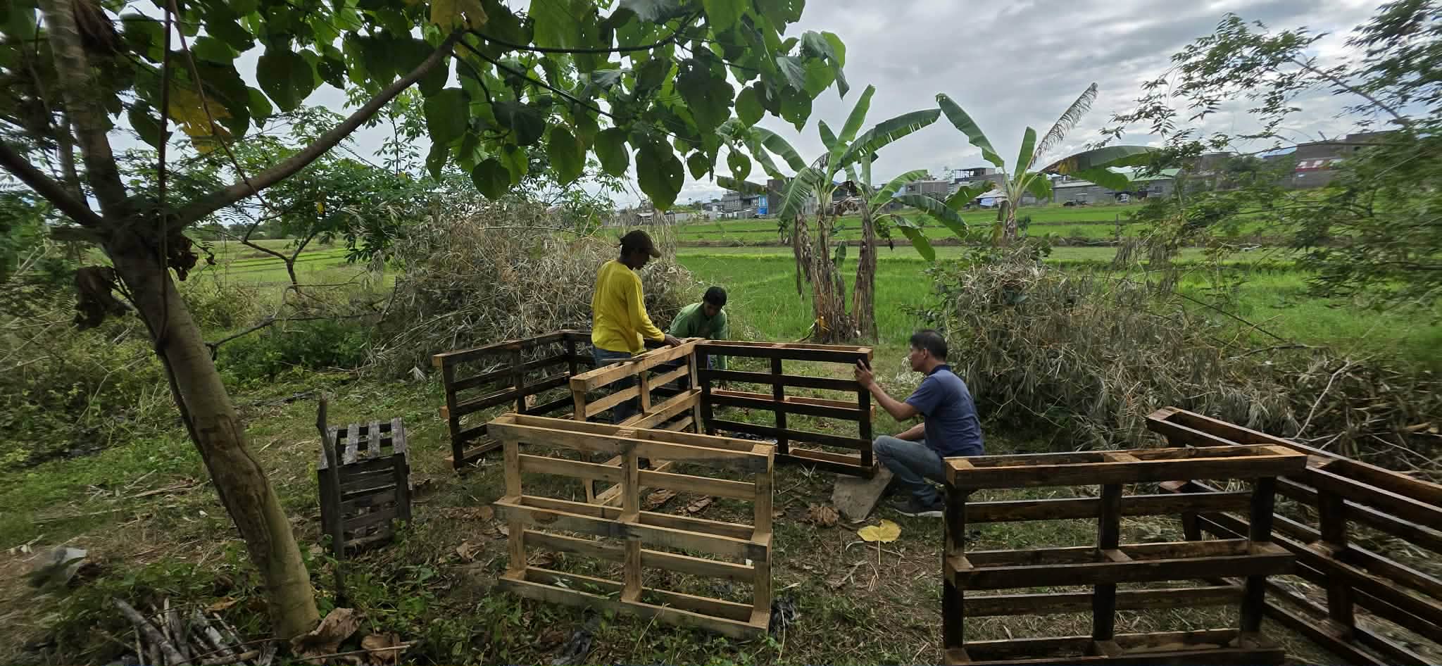 Food Forests for Beginners