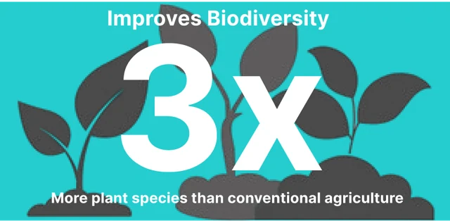 Improves biodiversity 3x