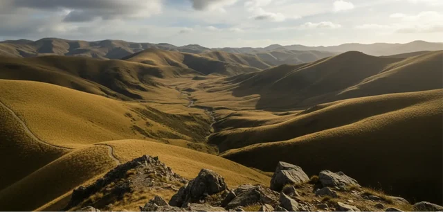 A permaculture landscape