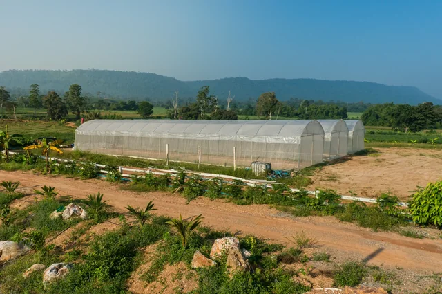 Growing plots and a greenhouse