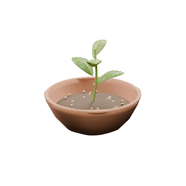 A handmade clay bowl with a growing seedling