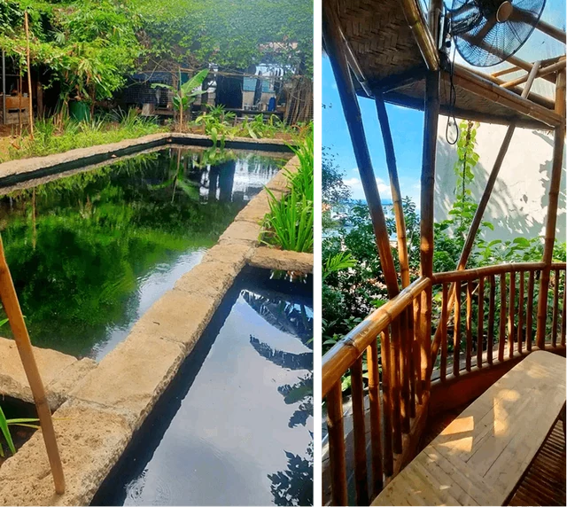 A permaculture landscape