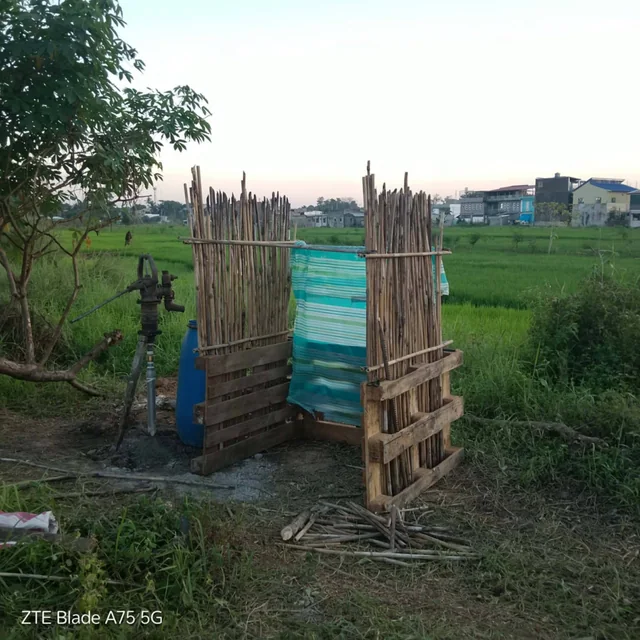 How to Make a Chicken Composting System