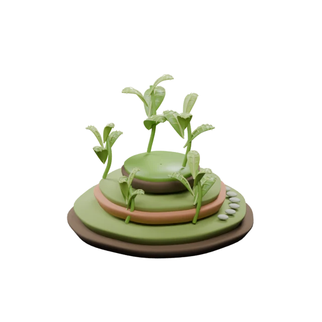 A miniature terraced food forest